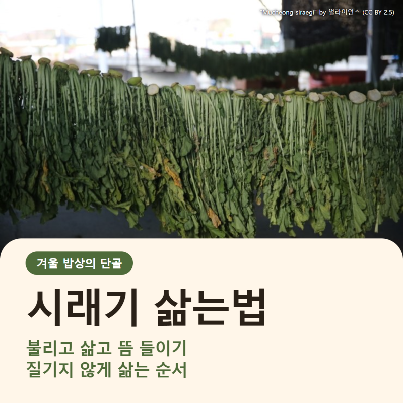 시래기 삶는법 질기지 않게, 우거지 시래기 차이부터 말린 시래기 삶는법까지