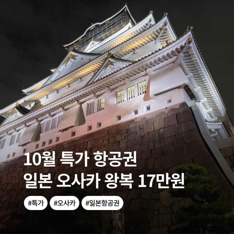 "새벽 도착이라 걸렀는데..." 17만원대 오사카 특가 항공권, 오히려 이득인 이유