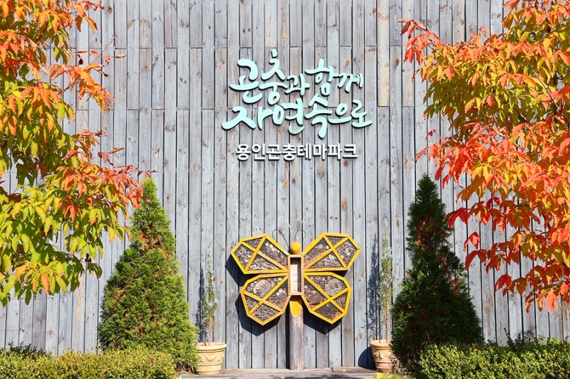용인 아이랑 가볼만한곳 용인곤충테마파크 추천