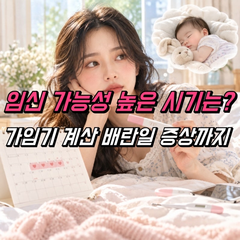 가임기 계산 임신확률, 배란일 증상 알아보기
