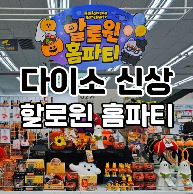 다이소 할로윈파티소품 추천｜다이소 신상 LED 가랜드부터 파티용품까지