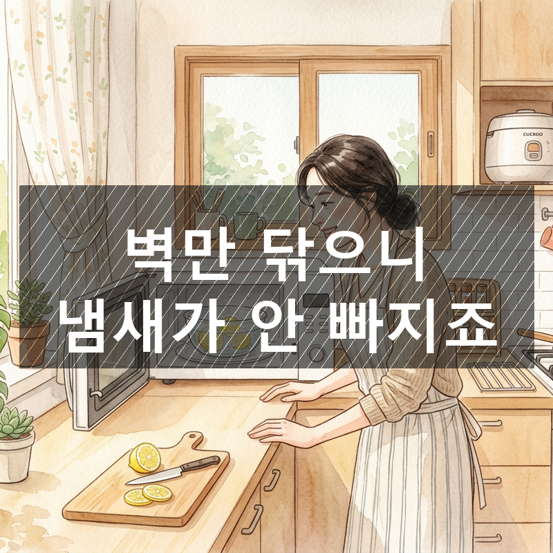 전자레인지 냄새, 문 열고 닦는 순서가.. 5분이면 반대였다