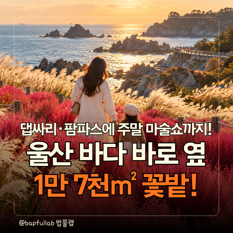 2026 울산 슬도 댑싸리·팜파스 아이와 가을 산책｜1만7천㎡ 꽃밭 위치·주차·야외도서관