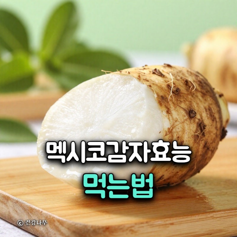 멕시코감자 효능 먹는법, 생으로 껍질 벗겨 먹어도 될까?