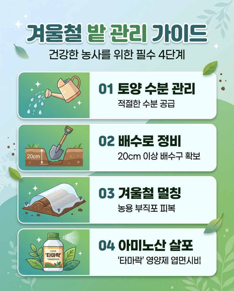 마늘 양파 동해 예방, 땅 얼기 전에 뿌리부터! 월동 전 '타마락' 시비 방법 및 서릿발 피해 방....