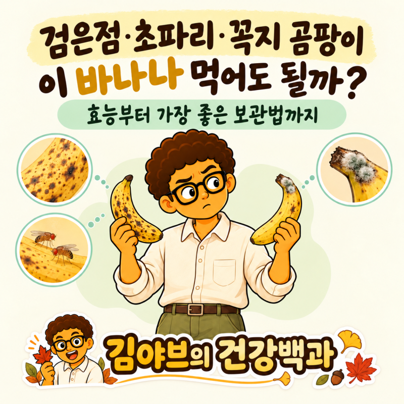 바나나 검은점·초파리·꼭지 곰팡이, 먹어도 될까? 효능과 가장 좋은 보관법