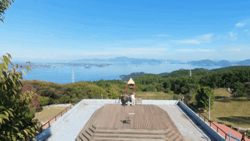 남해 아이와 가볼 만한 곳 [상상양떼목장 편백숲] 가족 여행
