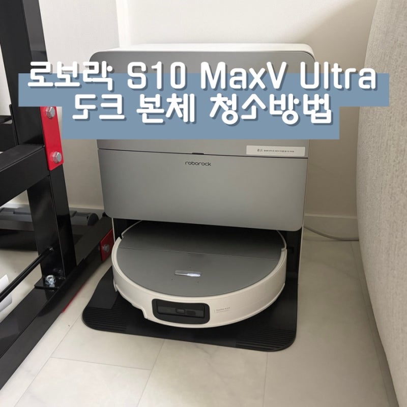 로보락 S10 MaxV Ultra 로봇청소기 청소방법｜3개월 만에 열어본 도크 상태... 본체부터 물걸레까....