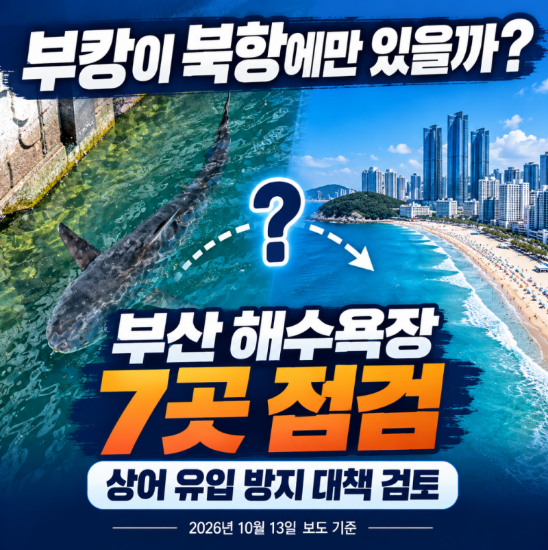 "부캉이 북항에만 있을까?" 부산 해수욕장 7곳을 점검하는 이유