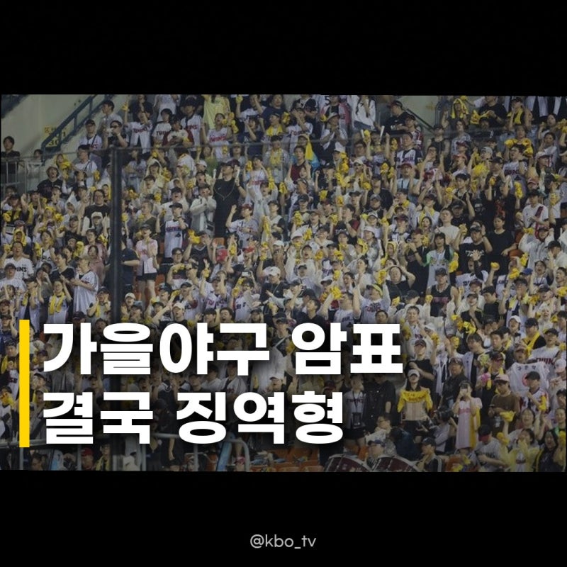 가을야구 암표 최대 징역형 단속 이제는 정말 멈춰야 할 때