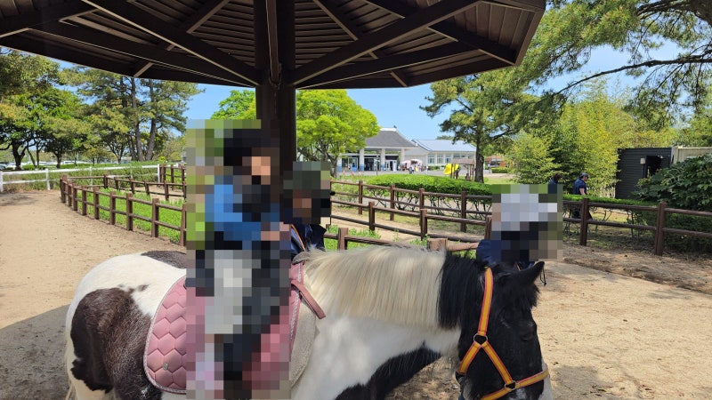 아이랑 어머니 모시고 제주도 3박4일 여행 2일차 코스 솔직 후기_f. 제주안전체험관·렛츠런파....