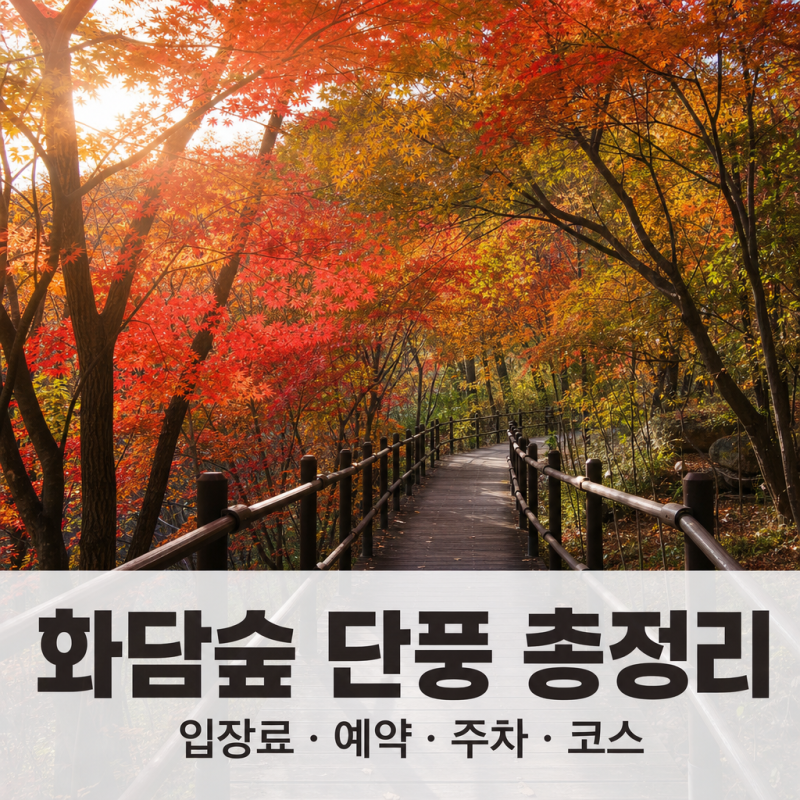 화담숲 입장료·운영시간·주차 정리｜단풍철 꿀팁 예약 방법과 관람 코스