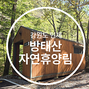 강원도 캠핑장 방태산자연휴양림 캐빈하우스 야영장 명당 추천