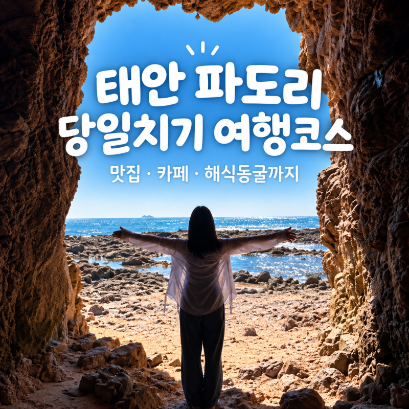 태안 파도리해수욕장 당일치기 여행코스｜해식동굴 물때·맛집·카페
