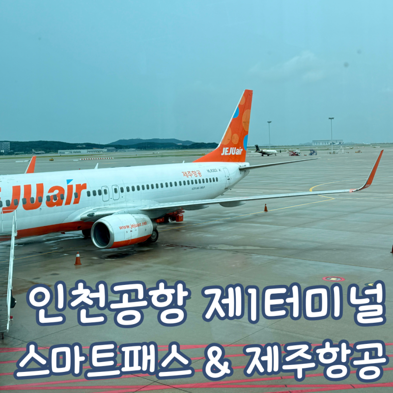 인천공항 스마트 패스 제주항공 탑승 수속