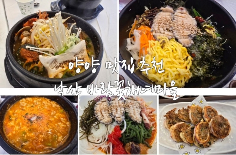 양양 맛집 추천 낙산 바람꽃해녀마을 해녀가 직접 채취한 해산물 가득