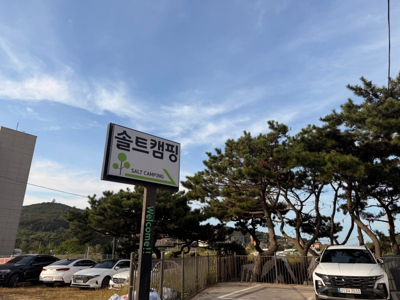 [인천 영종도] 솔트 캠핑장