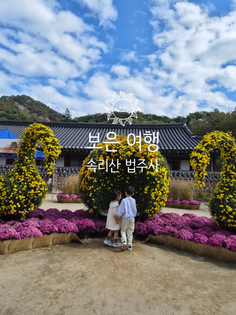 아이랑 보은 속리산 법주사 보은대추축제 맛집