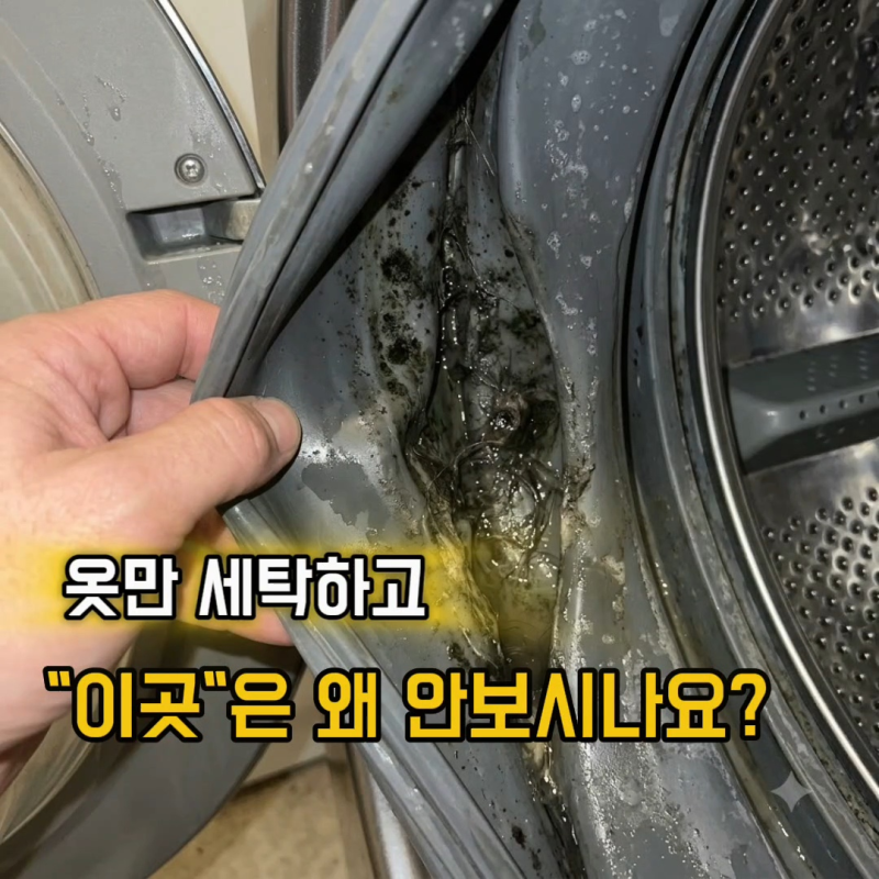 세탁기 고무패킹 청소 10분만 투자해보세요… 까맣게 남은 곰팡이까지 말끔하게