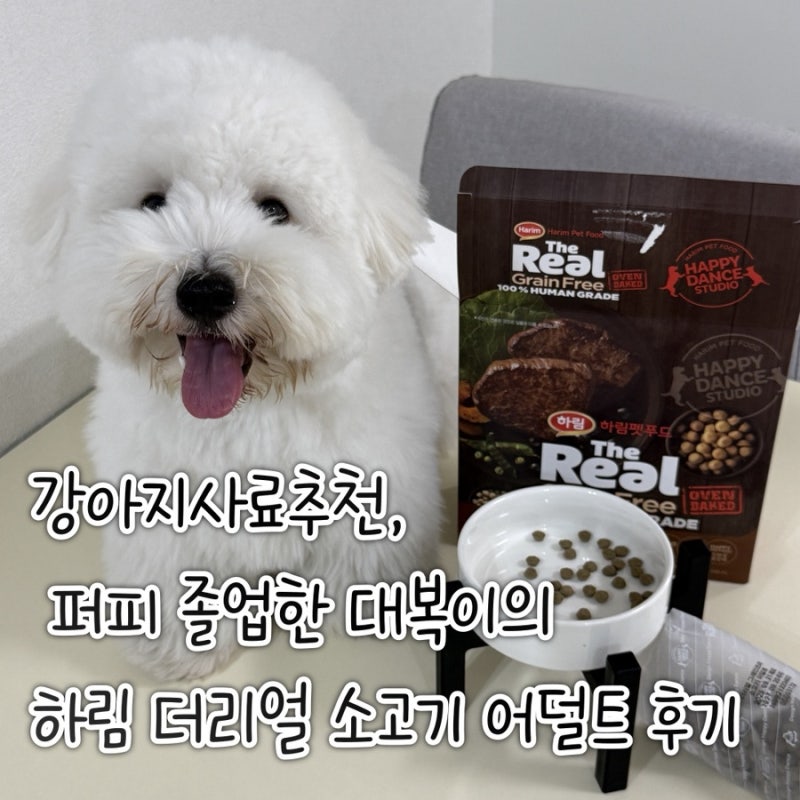 강아지사료추천, 퍼피 졸업한 대복이의 하림 더리얼 소고기 어덜트 후기