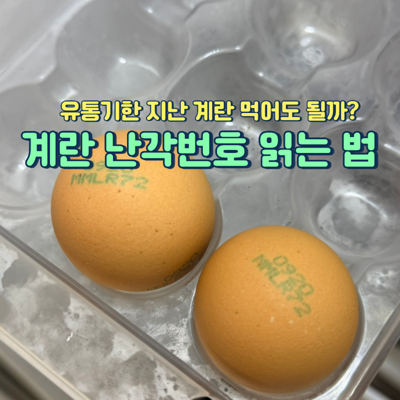 계란 유통기한 지났는데 먹어도 될까 난각번호 읽는 법