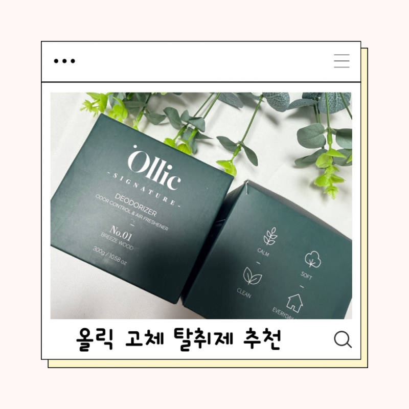 아기와 강아지 키우는 집 필수템! 뚜껑만 열어두면 끝, 고체탈취제 추천 올릭 고체 탈취제 ....
