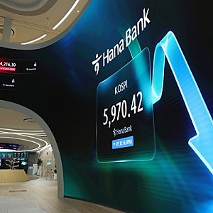 코스피 6000선 붕괴… 반도체 업황 우려에 환율 변동성 겹쳐