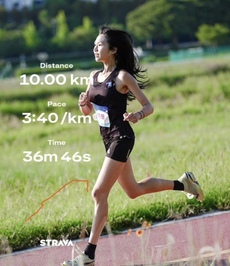 '2026 서울 레이스' <b>마라톤</b> 대회 비극: 故 <b>유지원</b> 씨 <b>사망</b> 사고 전말과....