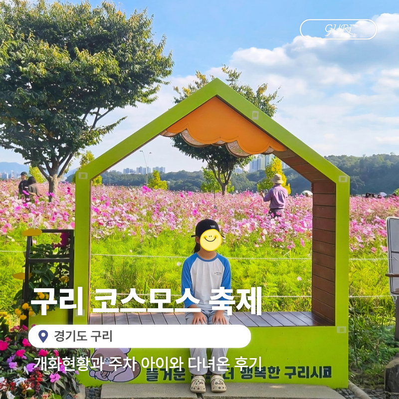구리한강공원 코스모스축제 개화현황 주차 아이와 다녀온 후기