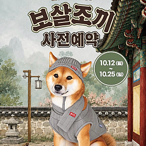 BYC 개리야스 신제품 강아지 패딩부터 김장조끼 할인 예약 팁