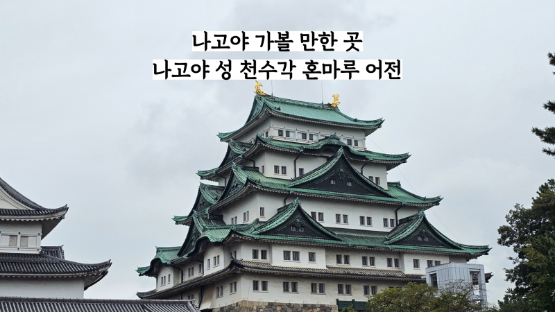 일본 나고야 가볼 만한 곳 나고야 성 입장료 정보 및 방문 후기
