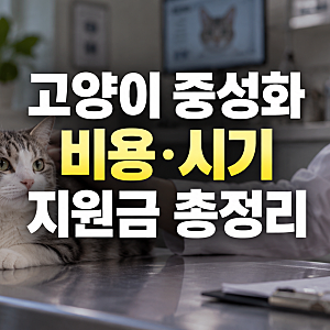 고양이 중성화 수술: 암컷·수컷 비용과 시기, 귀 표식, 지자체 지원금