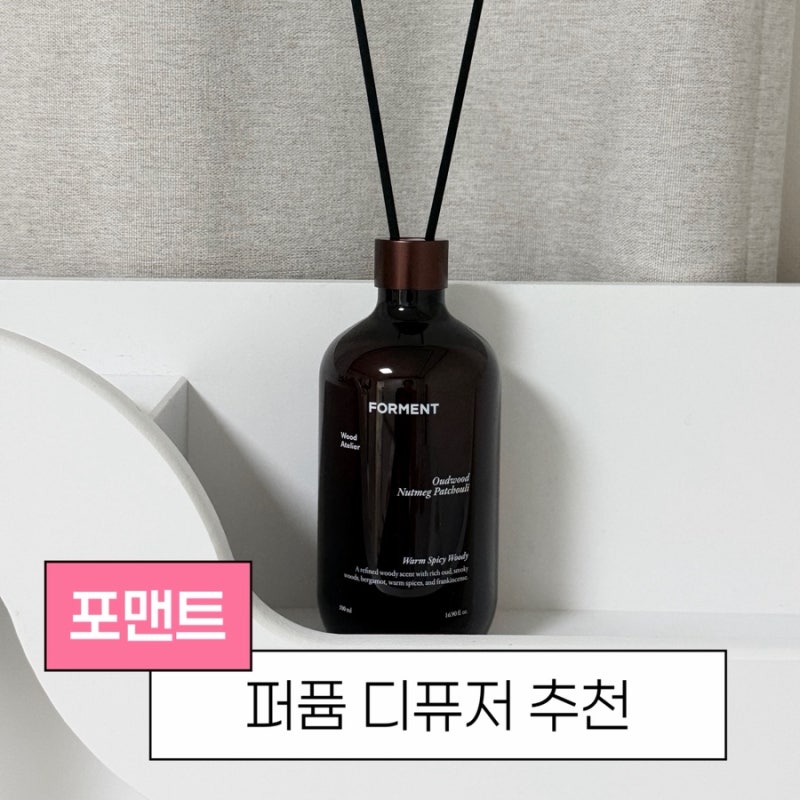 올리브영 포맨트 퍼퓸 대용량 디퓨저 추천, 박지훈 방향제 후기