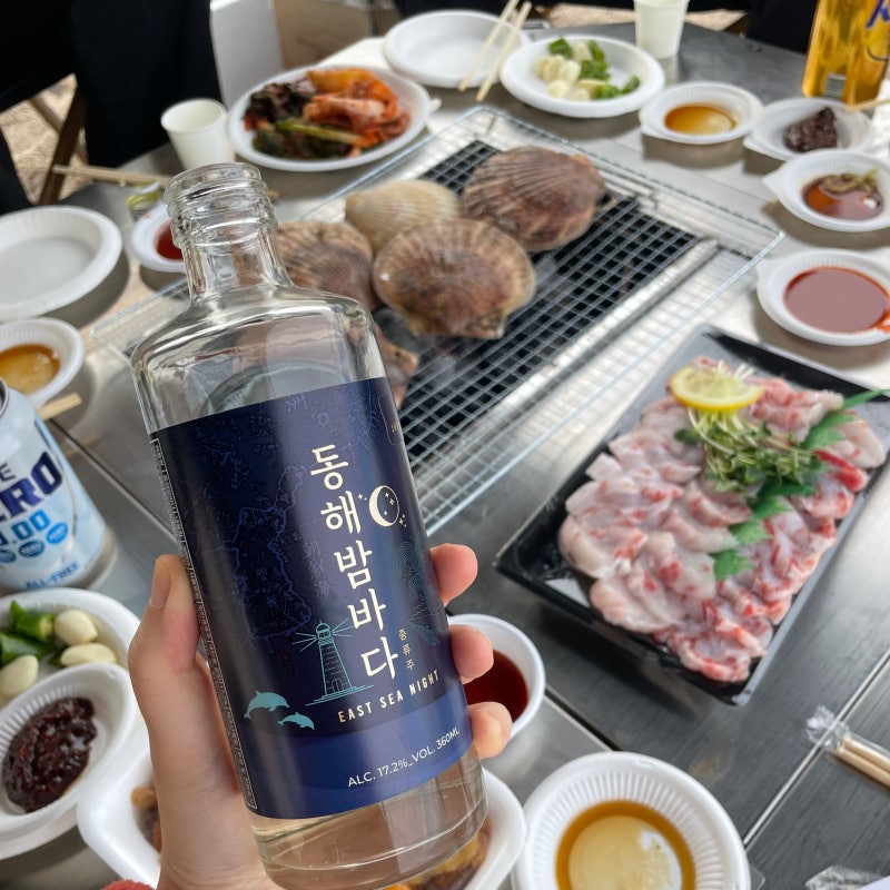 [고성] 취사 가능한 천진해변 노지캠핑 | 가리비 새우 구이 | 차박 해수욕장 | 동해바다 추천