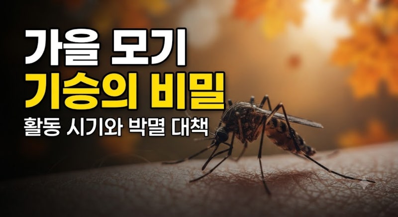 가을 모기 왜 이렇게 기승을 부릴까? 활동 시기와 박멸 대책 총정리