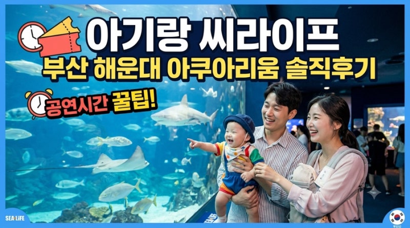 부산 해운대 아쿠아리움 아기랑 씨라이프 솔직후기 (공연시간 꿀팁)
