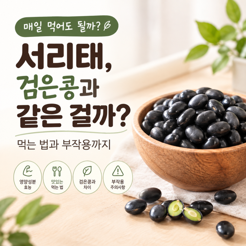 서리태, 몸에 좋다는데 매일 먹어도 될까? 검은콩과 다른 점부터 먹는 법까지