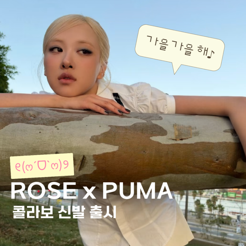 로제 퓨마 신발 출시!!