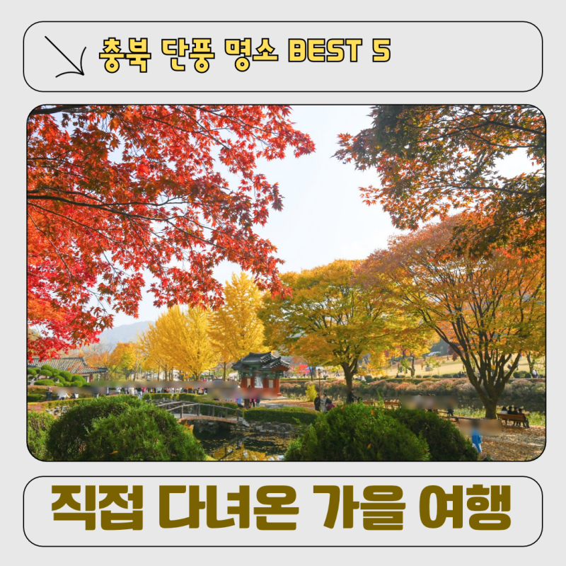 충북 단풍 명소 베스트 5 ㅣ 청주 대전에서 가볼 만한 가을 여행