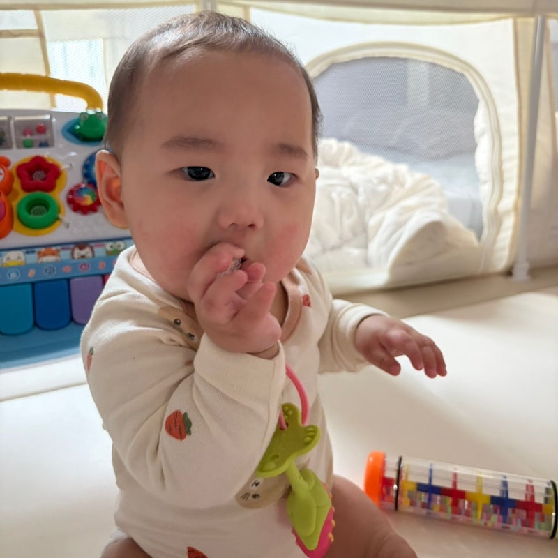 아기 장난감 세척 방법과 소독 주기, 치발기는 매일 씻어야 할까?