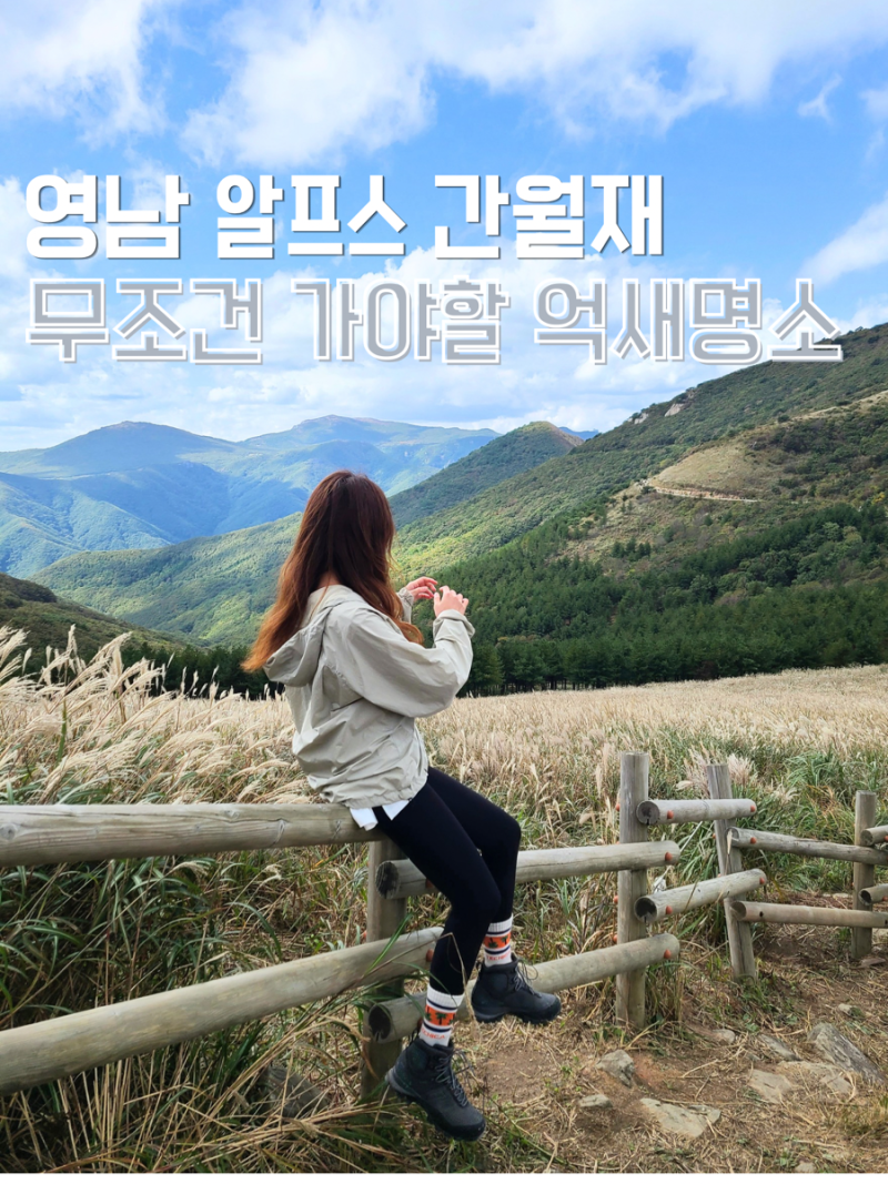 울산 간월재 코스 주차장 요금 정보, 영남알프스 가을 산행 억새풍경 후기