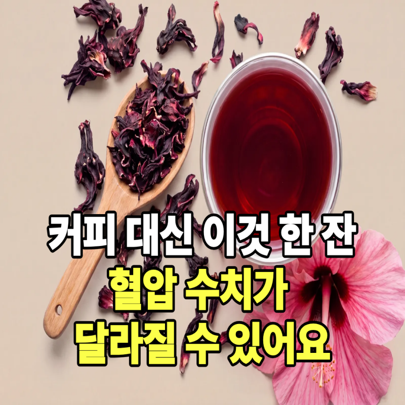 고혈압에 좋은 차 4가지 추천 커피 대신 마시기 좋은 혈압 관리 차