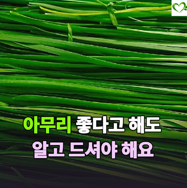 "부추 좋다고 많이 먹었는데" 미리 알아둘 효능 보관법 주의사항