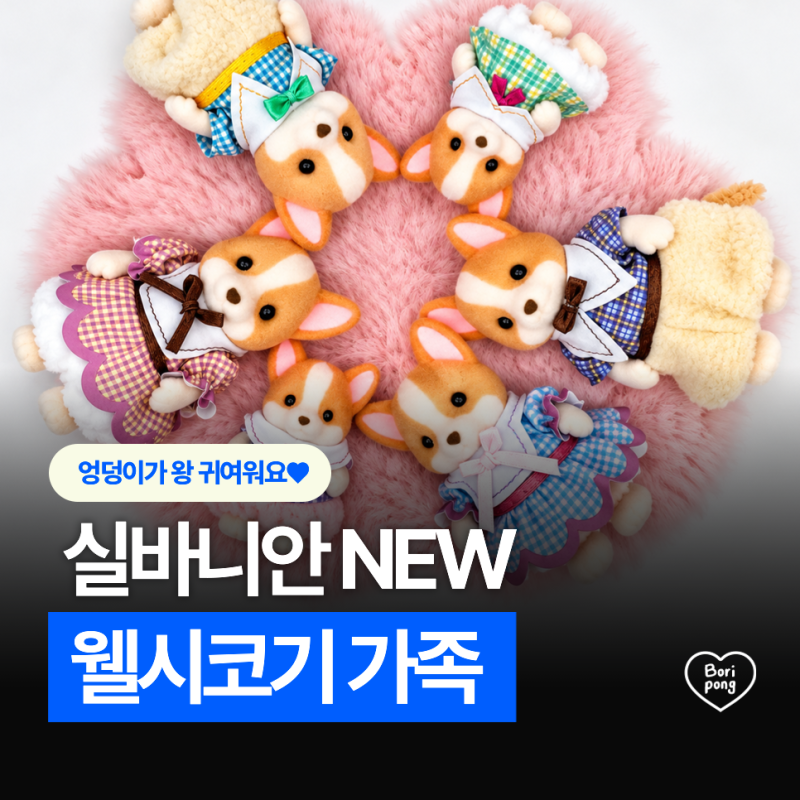 [실바니안 패밀리] 실바니안 웰시코기 가족 2026년 신상 웰시코기 패밀리 6마리!