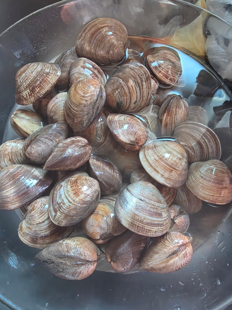 전복 14마리 2만원에 샀어요! 백합조개 해감부터 냉장보관까지