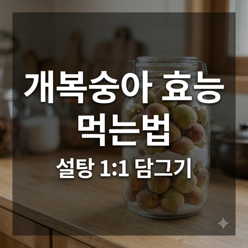 개복숭아 효능 먹는법, 담는법은 설탕 1:1 이렇게만 하면 됩니다