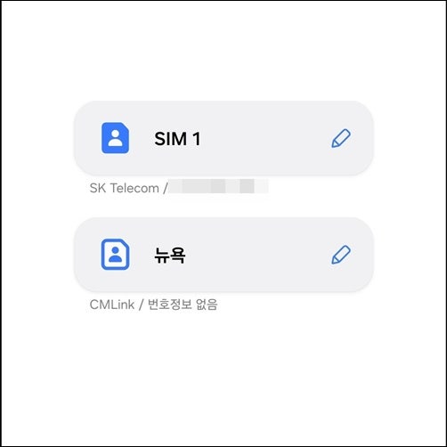 해외여행 듀얼이심 설정방법 전화 문자는 한국심 데이터는 해외이심 설정 사용 방법