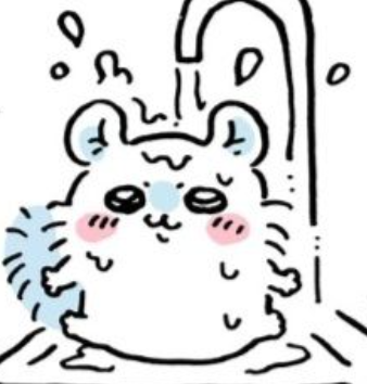 머리 비듬 없애는 법 샴푸 하나 바꾸고 완치