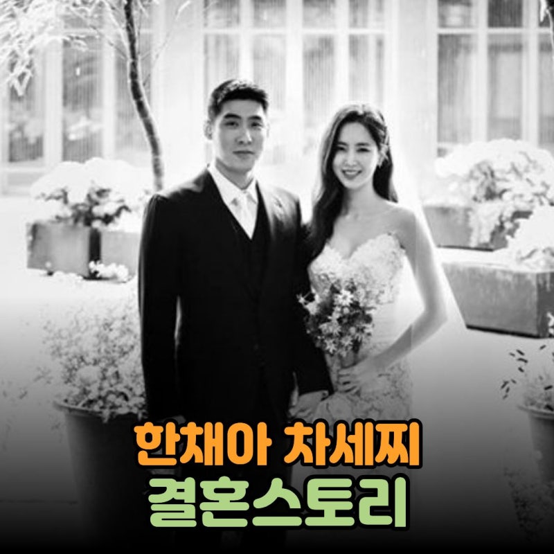 한채아 차세찌 결혼스토리, 차범근 며느리 되기까지