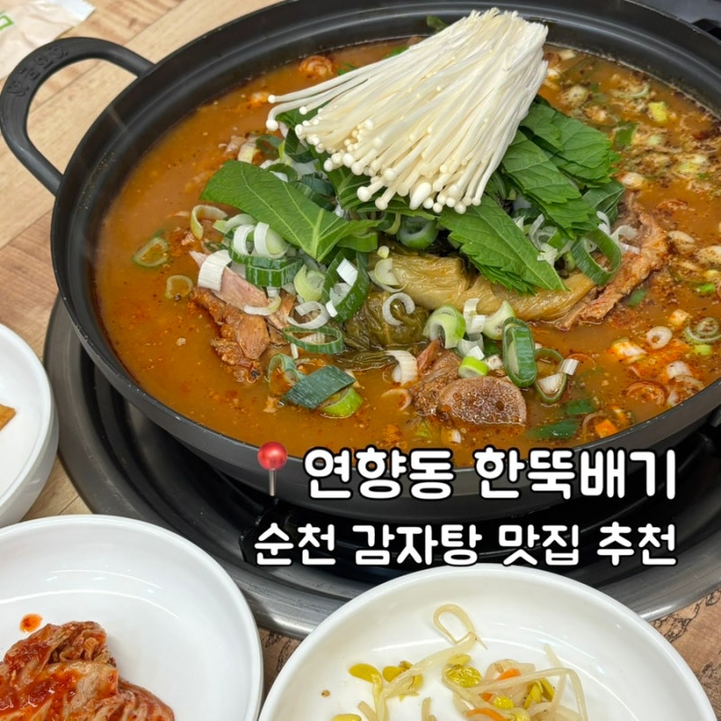 [순천 연향2지구 밥집] 1인 식사 가능 감자탕 맛집 연향동 한뚝배기